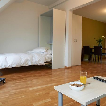 Residence Apartments By Hotel Du Commerce Basel Eksteriør bilde